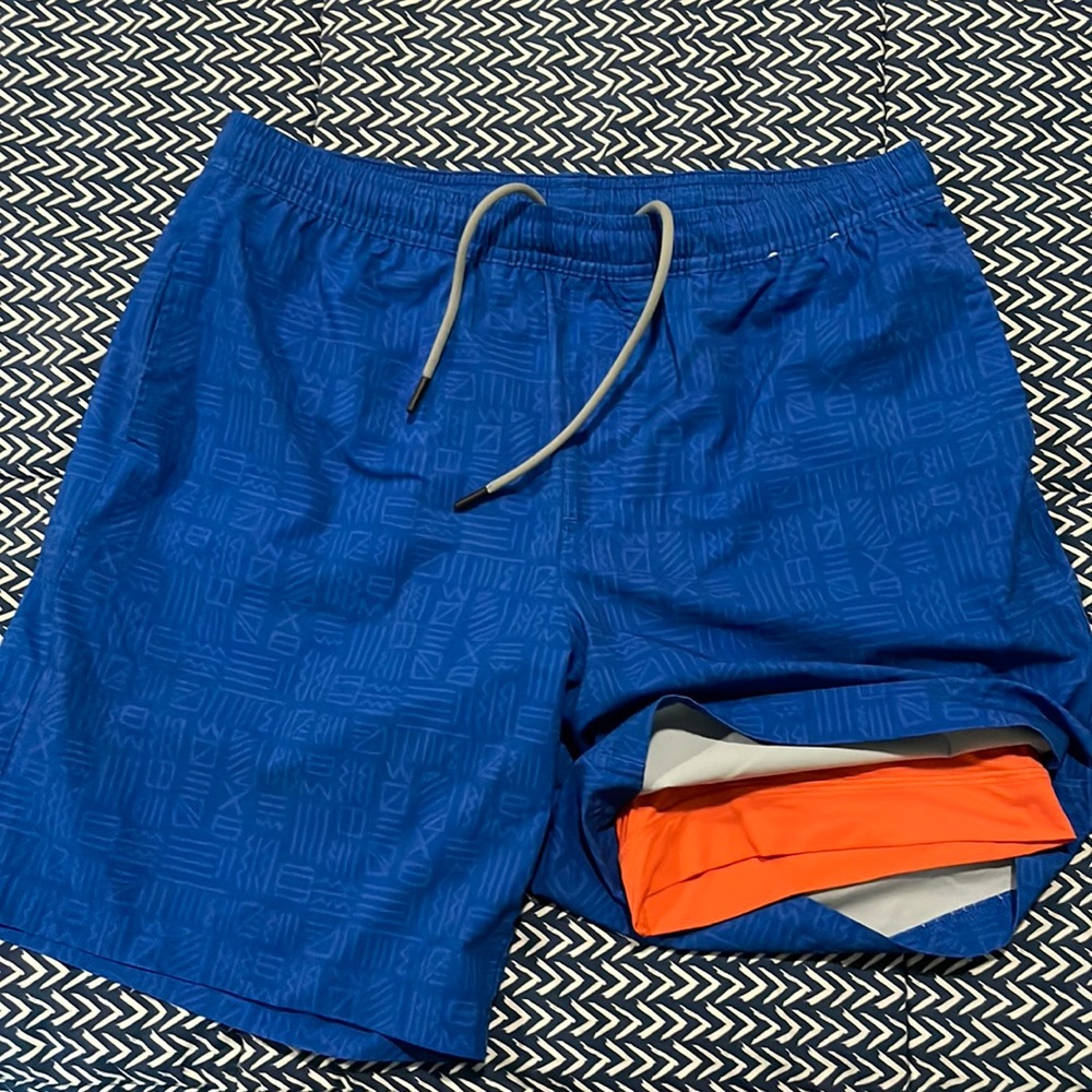 Chubbies Lined Training Shorts